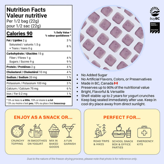 Freeze-Dried Blueberry Yogurt Crunch