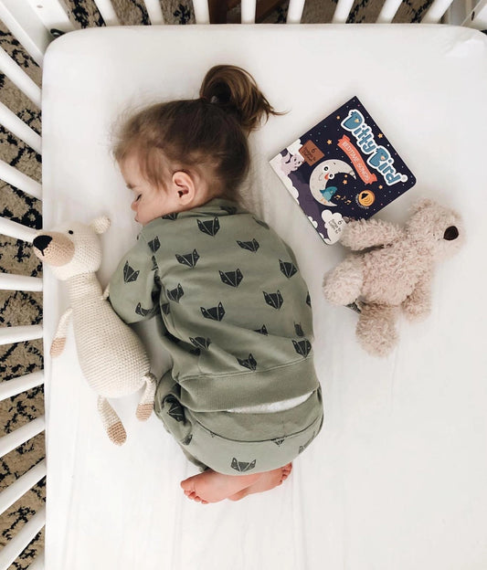 Ditty Bird | Bedtime Songs - Storytime - Baby Sound Book